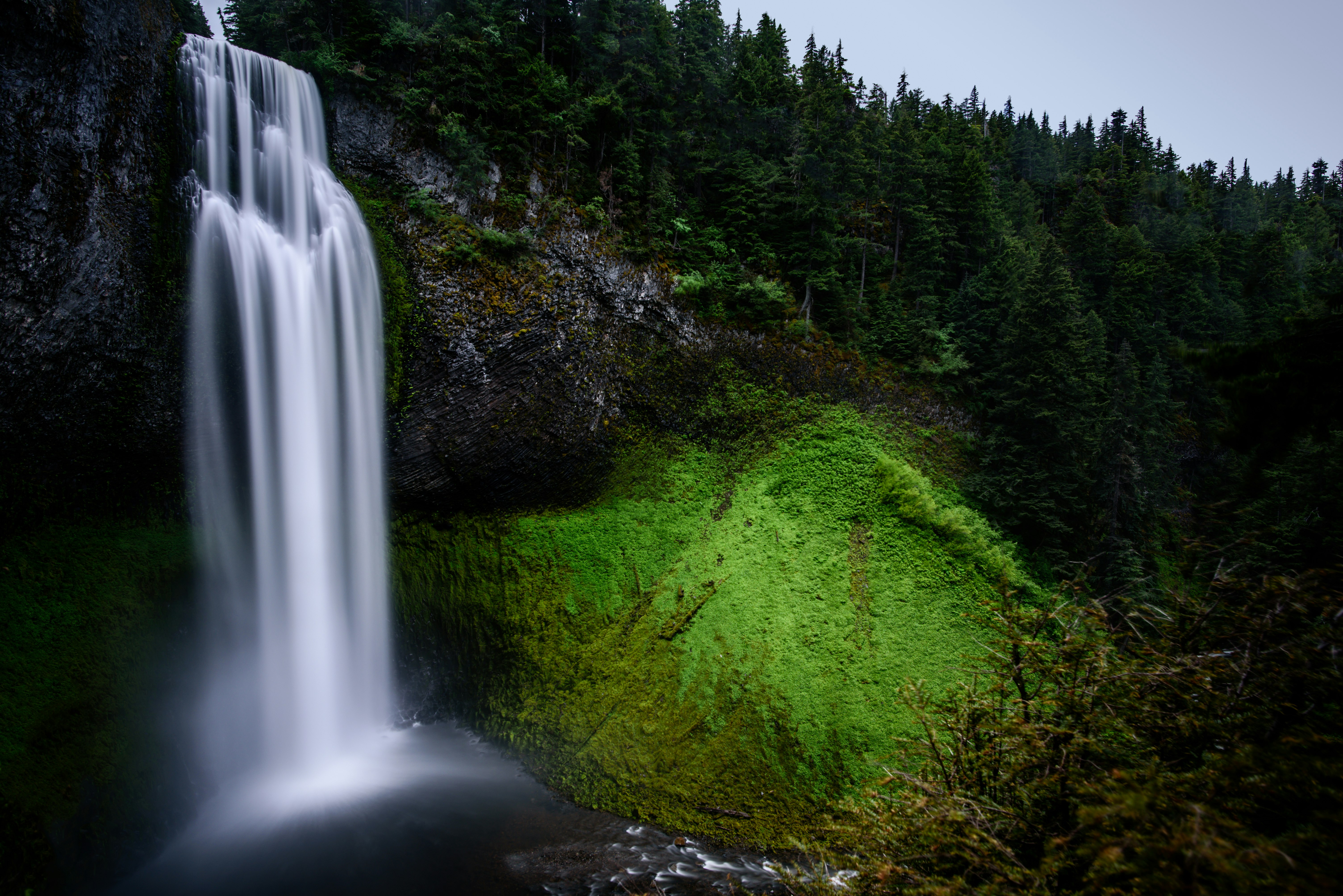 waterfalls near trees during daytime